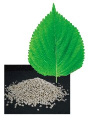 エゴマ燃焼美人