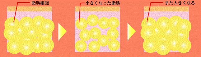 �G�S�}�R�Ĕ��l